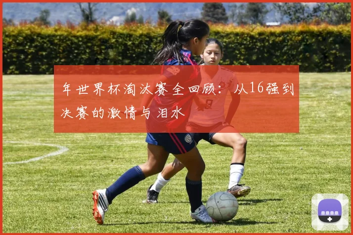 年世界杯淘汰赛全回顾：从16强到决赛的激情与泪水