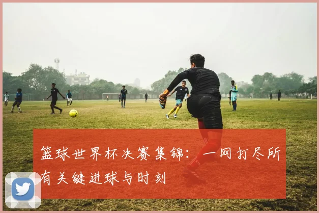 篮球世界杯决赛集锦:一网打尽所有关键进球与时刻