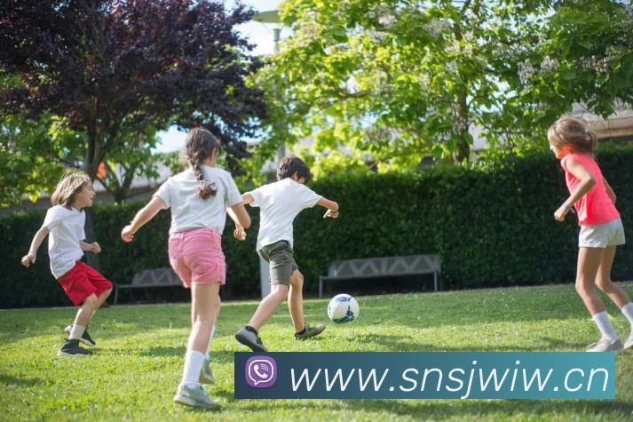 leyu官网入口服务体系